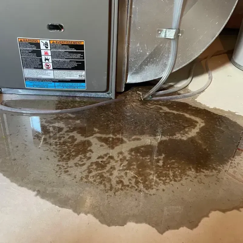 Appliance Leak Cleanup in Pearland, TX